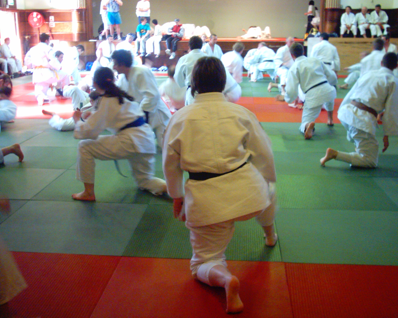 judo2.jpg